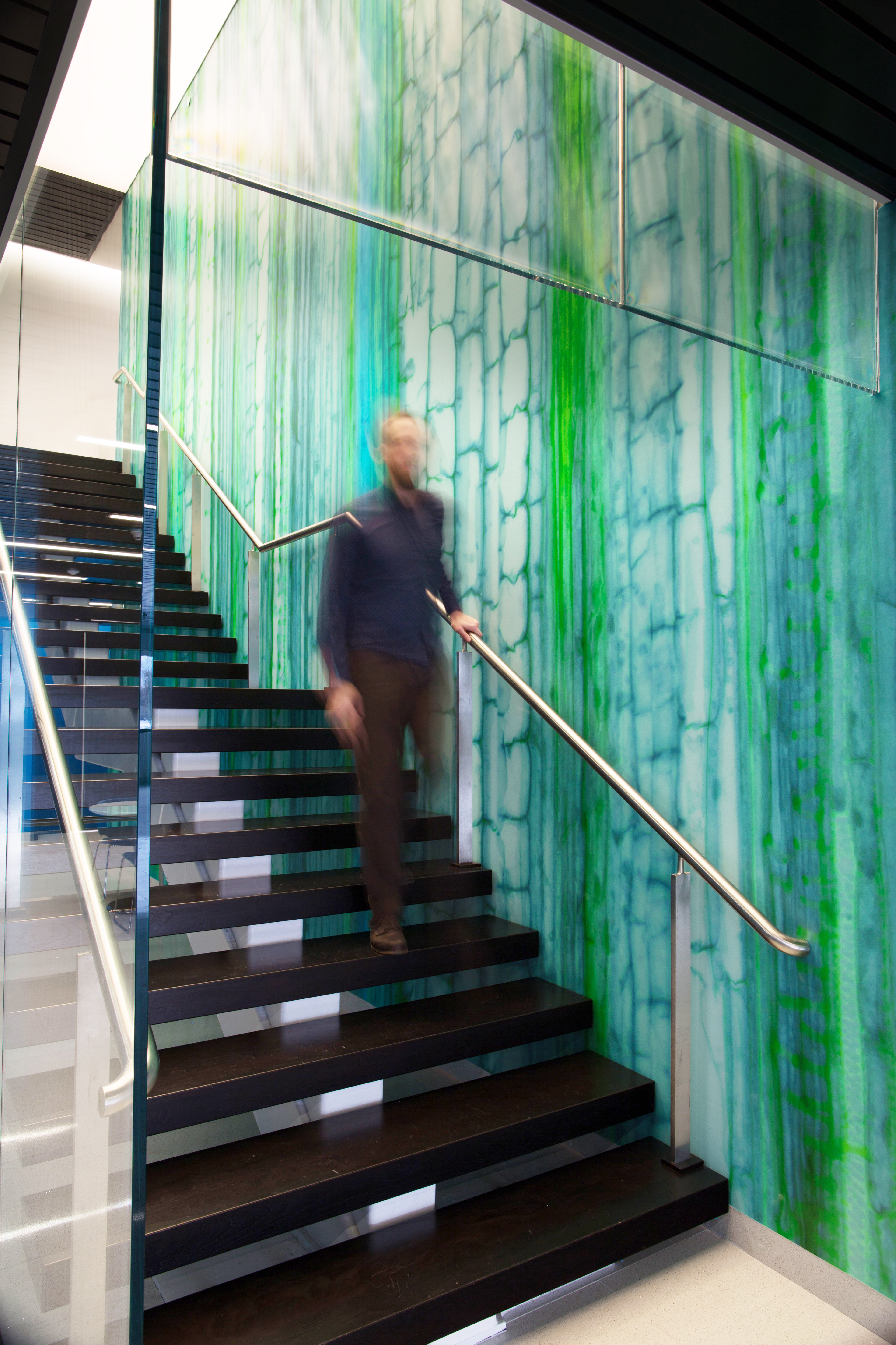 Stair & Xylem Mural