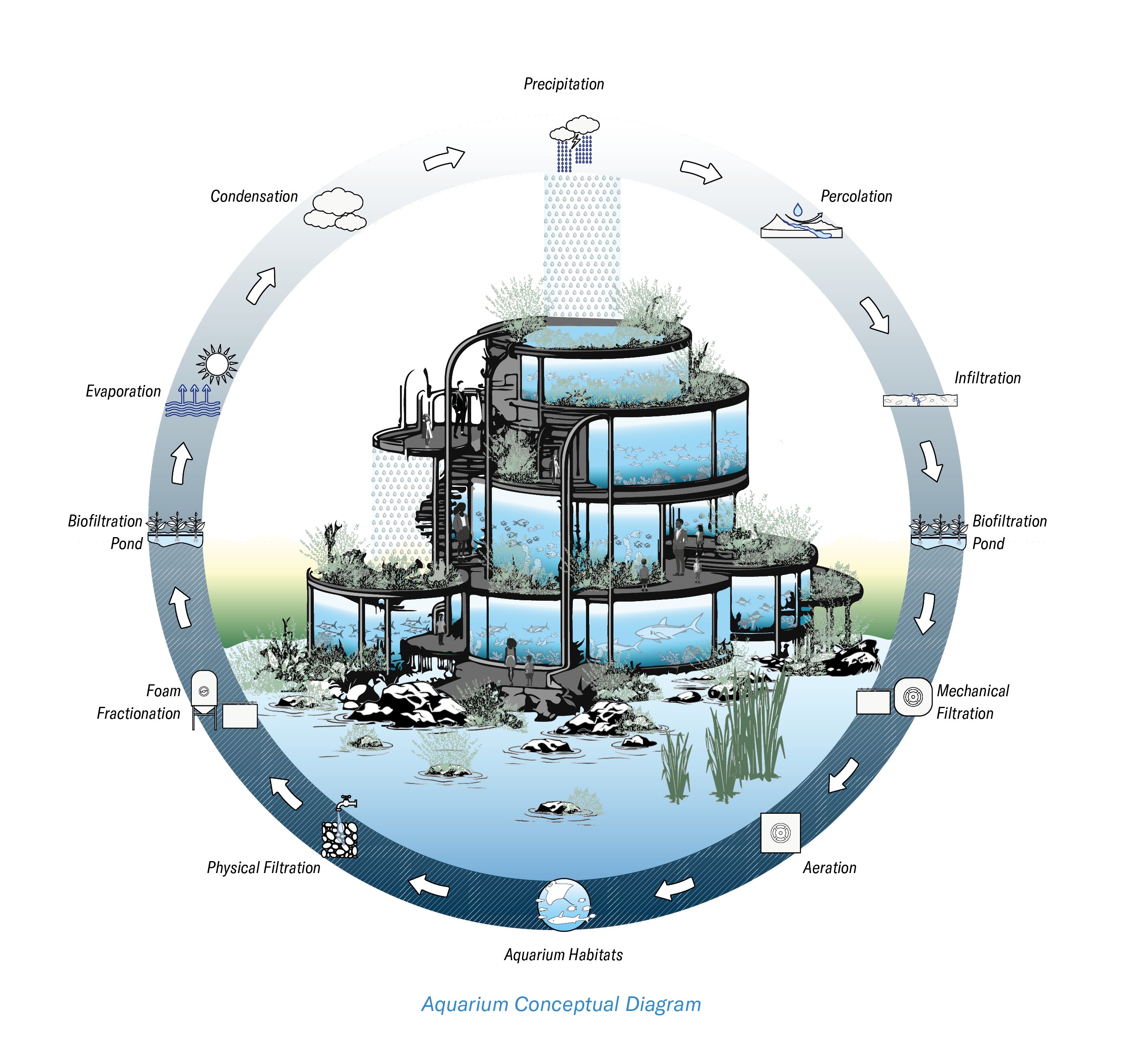 Aquarium diagram